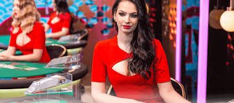 v8bet